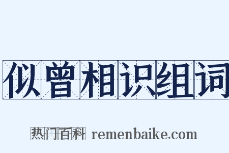 似曾相识组词是什么意思的图片